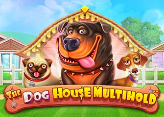 เกมไพ่แมงมุม The Dog House Multihold ทดลองเล่นฟรี