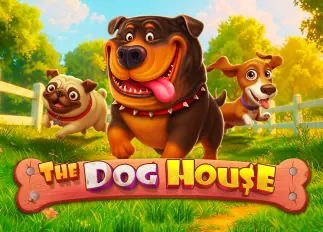เกมไพ่แมงมุม The Dog House ทดลองเล่นฟรี
